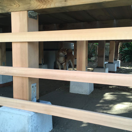 ウエスタンレッドシダー 束