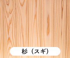 杉（スギ）
